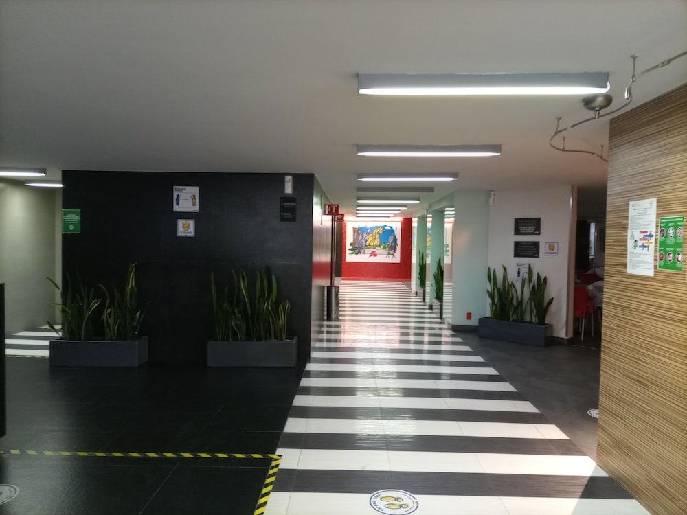 City Express By Marriott Ciudad De Mexico Alameda المظهر الخارجي الصورة